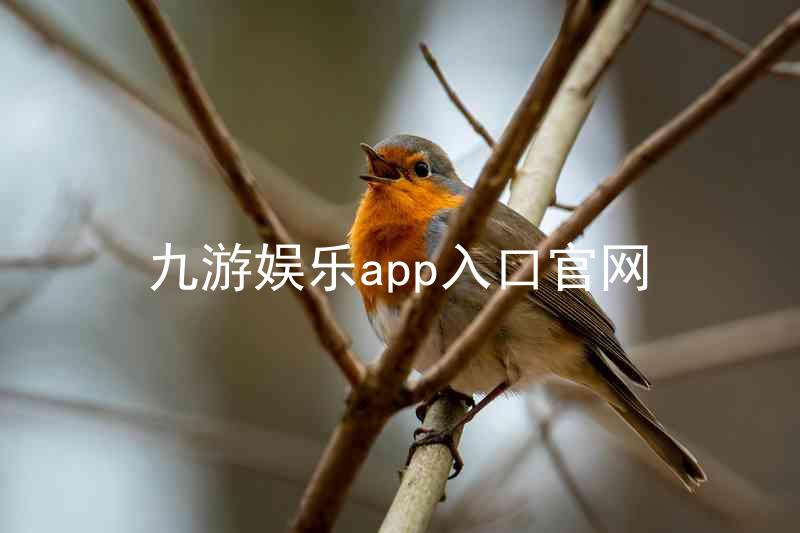 九游娱乐app入口官网